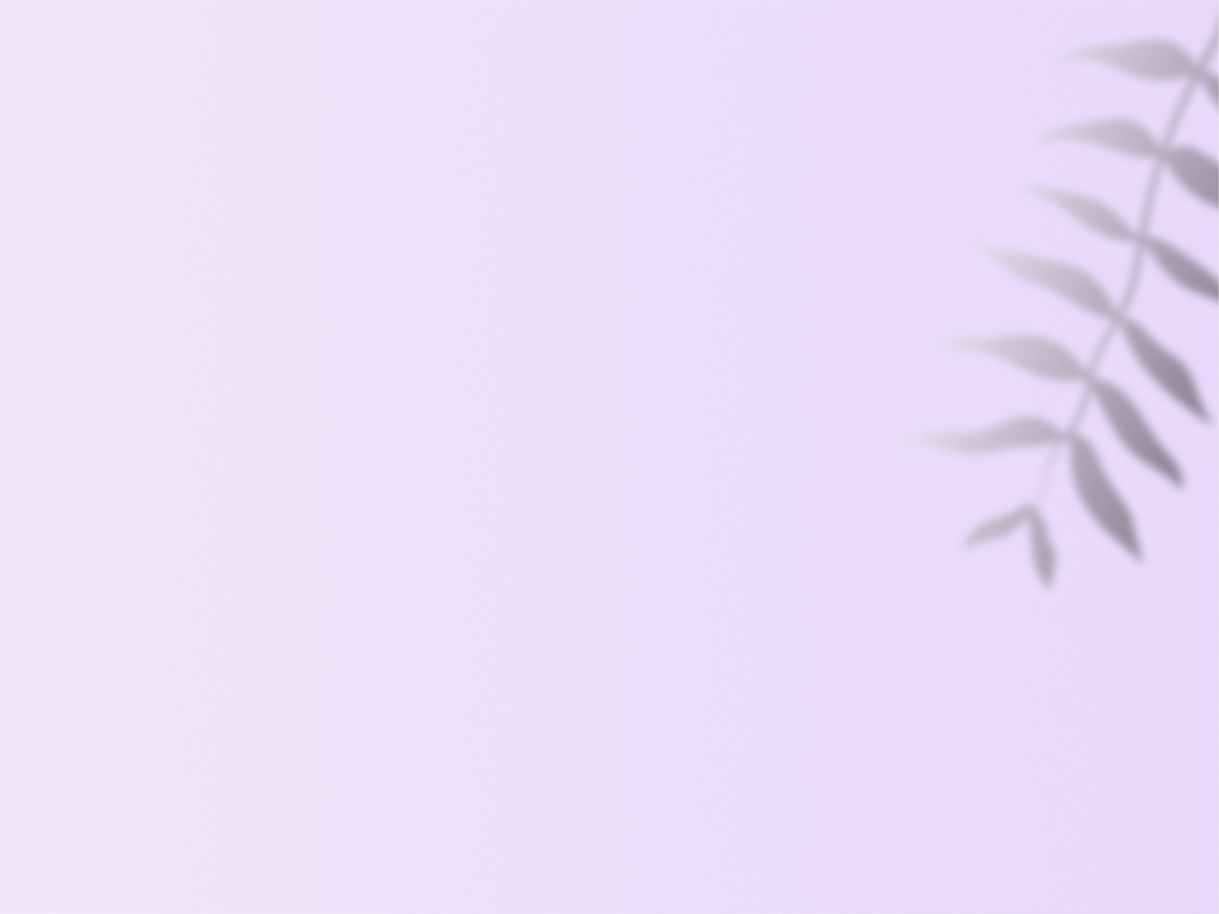 Leaves Shadow on Pastel Background Copy Space